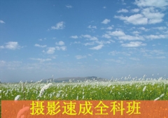 https://www.quzhaosheng.com/school-3465/document-id-7561.html
