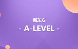 {¶A-LEVELѵ